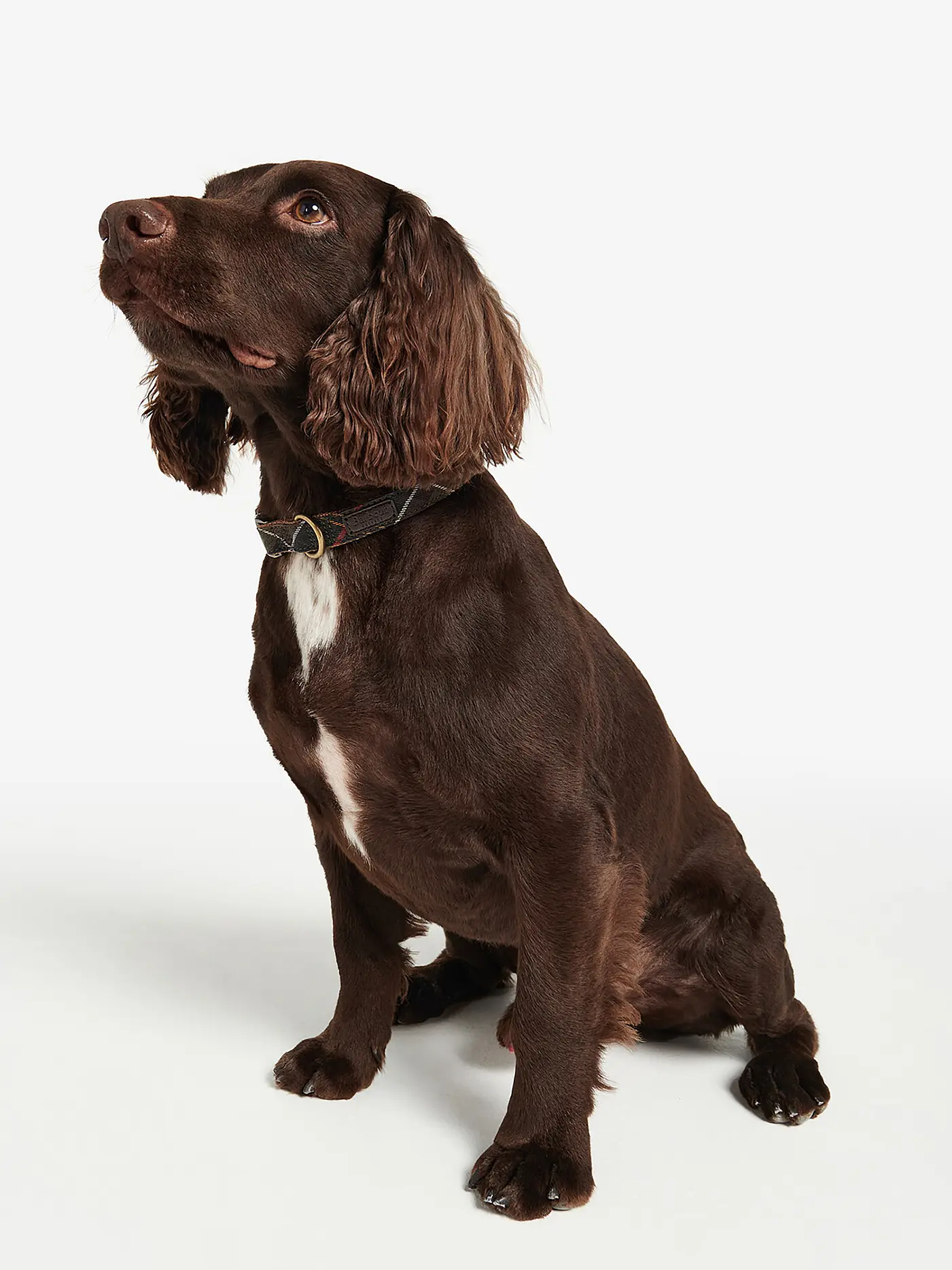BARBOUR | Hunde Halsband Tartan | 
